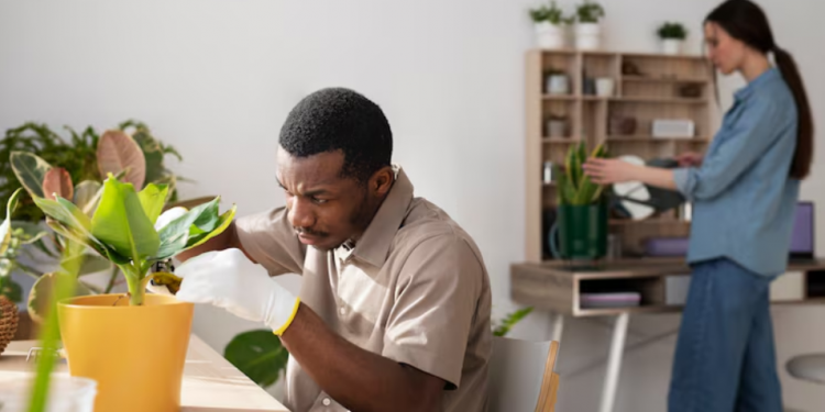 Common Landscaping Mistakes (And How Professional Landscapers Avoid Them)