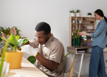 Common Landscaping Mistakes (And How Professional Landscapers Avoid Them)